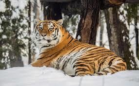 Zoo di Lubiana